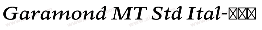 Garamond MT Std Ital字体转换